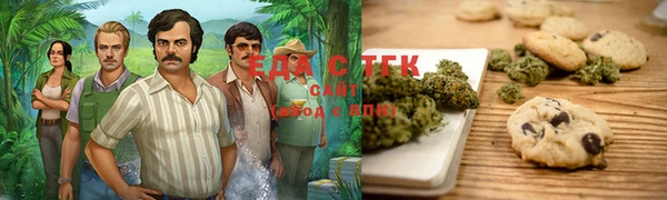 шишки Абаза