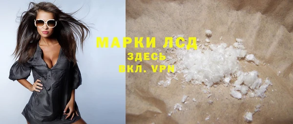 шишки Абаза
