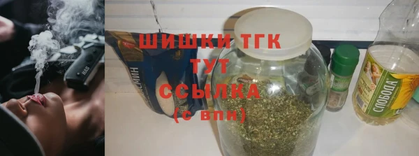 шишки Абаза