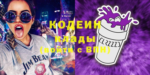 шишки Абаза