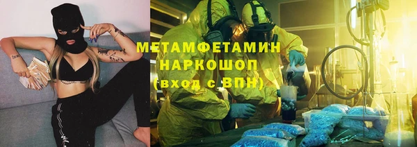 шишки Абаза