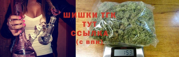 шишки Абаза
