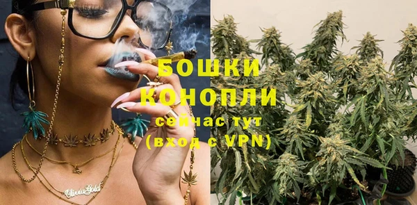 шишки Абаза